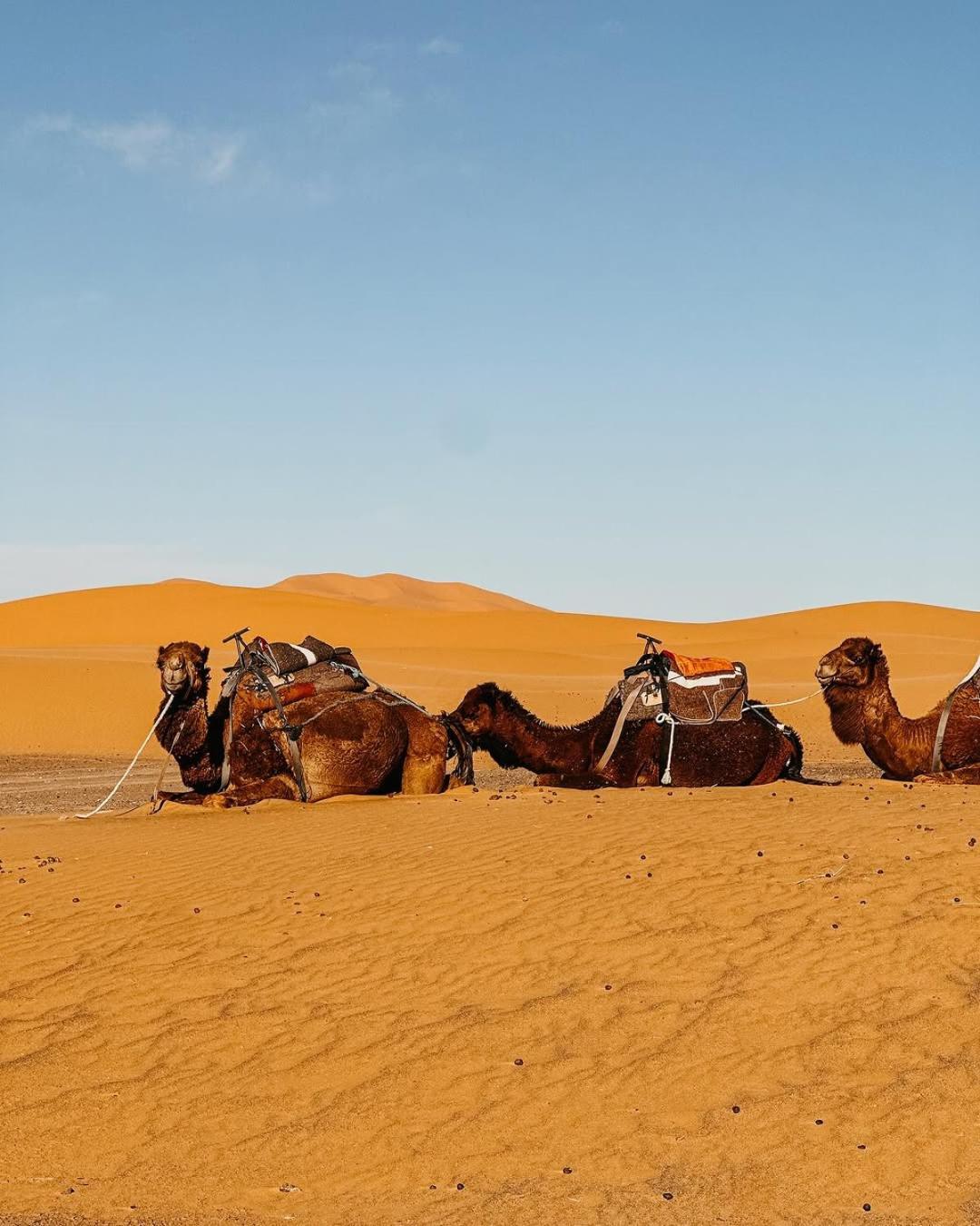 Merzouga Morocco Desert Luxury Camp เมอร์ซูกา ภายนอก รูปภาพ